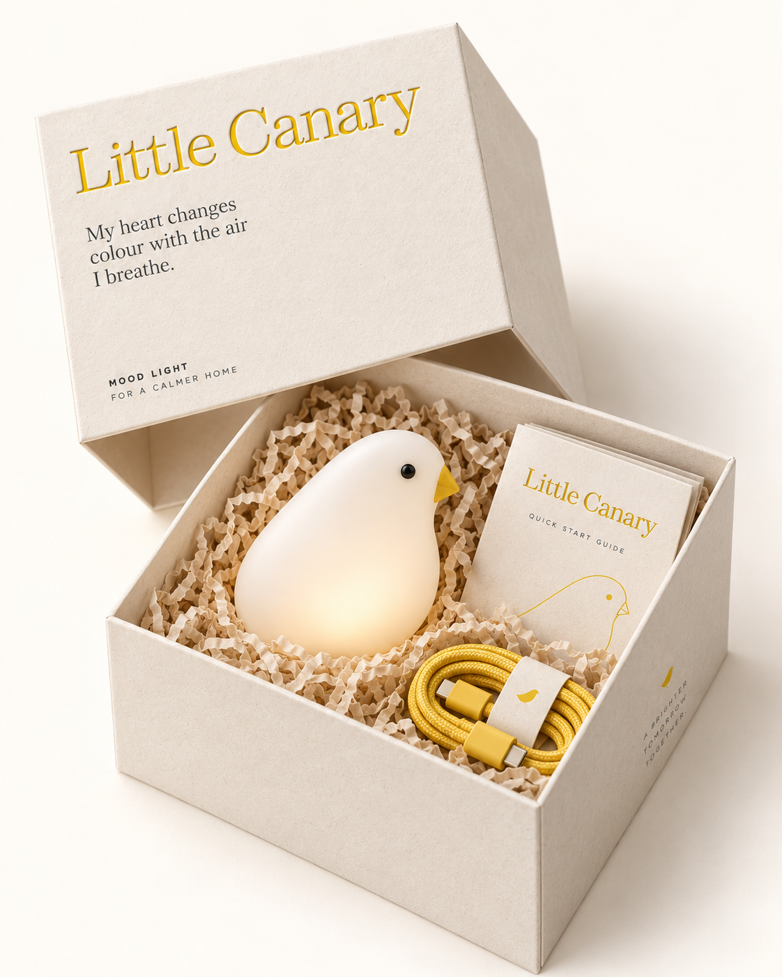 Little Canary open box with shredded paper nest, bird, and cable
